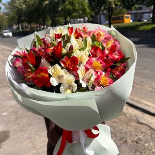 Альстромерія мікс 11