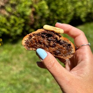 COOKIE BASIC PROTEIN (20Gr)