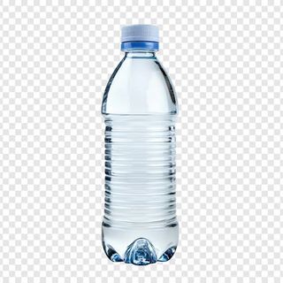 Agua (500 Ml.)