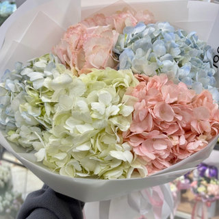 Букет з 5 гортензій мікс