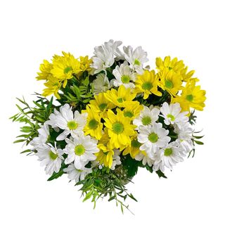 Ramo de margaritas blancas y amarillas