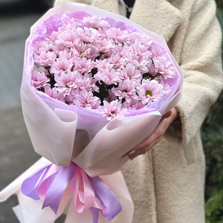 Bukiet z fioletowej chryzantemy