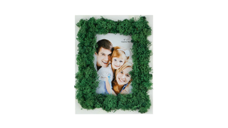 Moss Okvir S
