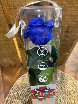 Rosa eterna en azul