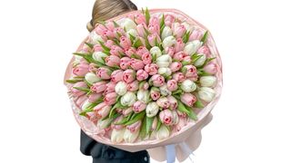 #1 101szt tulipanów