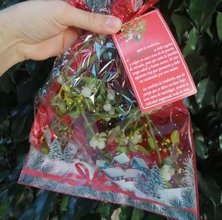 Muérdago De La Suerte