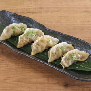 Gyozas de Verdura