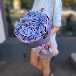 Hortensie Bleu/ lila/ albastru