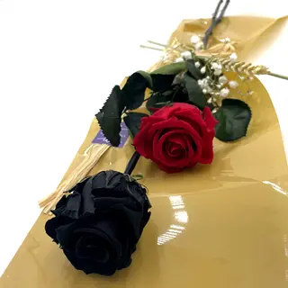 Dos Rosas Preservadas, Una Negra Y Una Roja