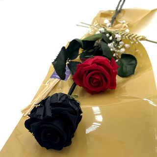Dos Rosas Preservadas, Una Negra Y Una Roja