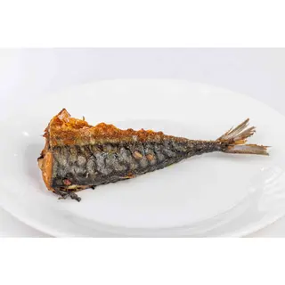 Titus fish