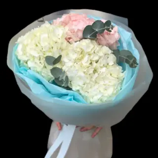Pure Pastel