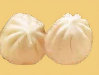 Xiaolongbad (2 Uds.)