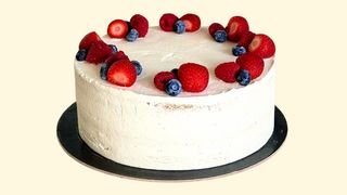 Letni Mix vanilla  i jagoda 1.3 kg