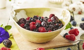 FRUTTI DI BOSCO BIO (15889)