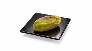 Pistacchio - Monoporzione Frutta Realistica