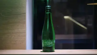 Rosa gazirana