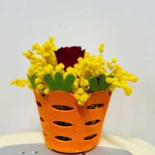 Box rotondo con mimosa e rosa 