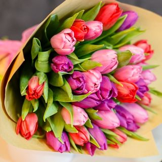 Buchet din 31 Lalele Roz, Rosii si Violete