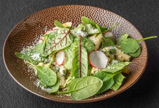 KURCZAK ZE SZPINAKIEM