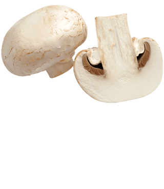 Morceaux Champignons De Paris