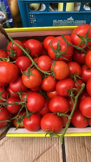 Pomodorino 1 kg