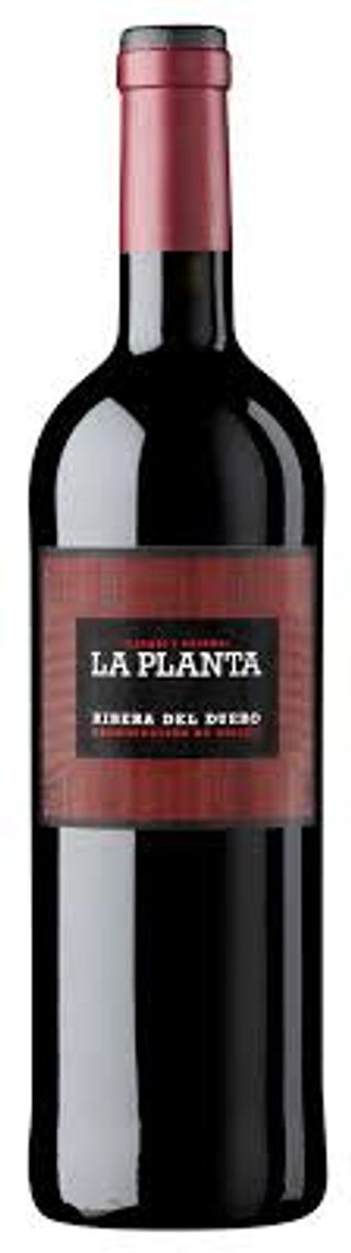 VIno D.O. Ribera La Planta (75 Cl.)
