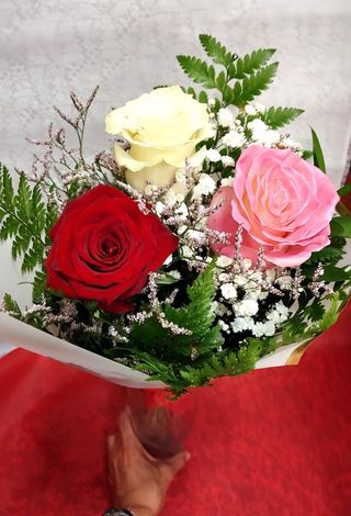 3 Rosas Variadas