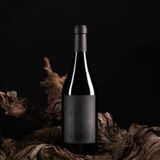 anna de codorniu brut nature