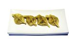 22.GYOZA  (10UDS)