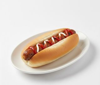 Cachorro Vegetariano