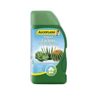Angrais de Cactus 250ML