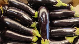 Melanzane lunghe 1  kg