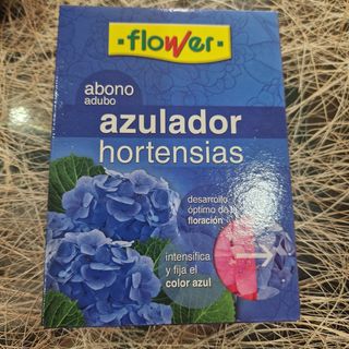Azulados hortensias