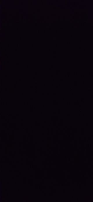 NOODLES DI GAMBERI (90gr di pasta a crudo)