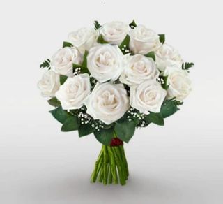 12 Roses Blanches