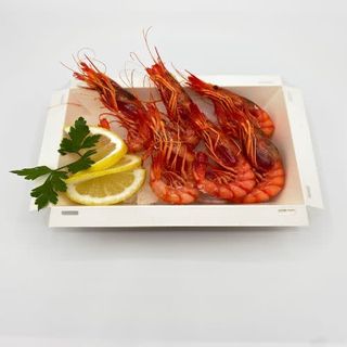 Gamba rayada (6 uds.)