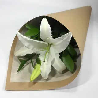 Lilium Blanco Unidad