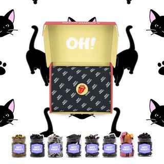 Happy Botes  Happy Regaliz