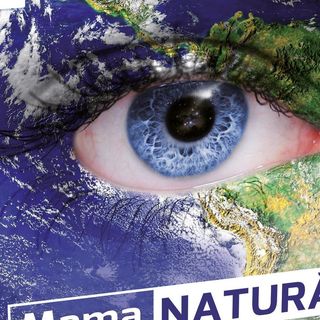 Joc Tactic, Mama Natura, lb. romana [4188388]