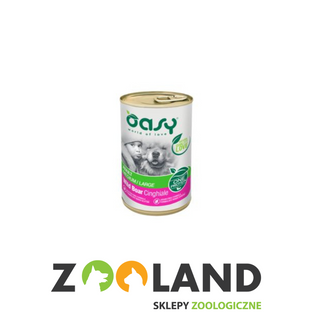 Oasy Mono Adult Dzik 400g