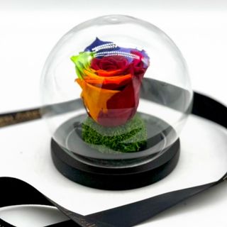 Cloche Éternel SunShine