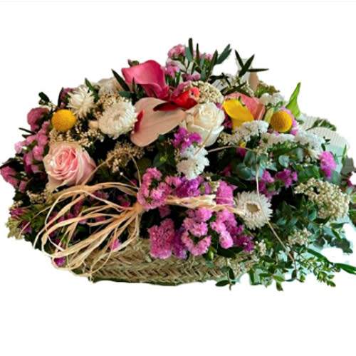 Capazo Primaveral VIP