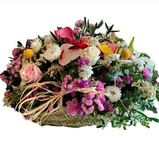 Capazo Primaveral VIP