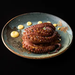 Pulpo
