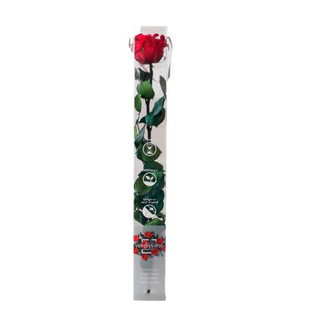 Rosa Eterna/