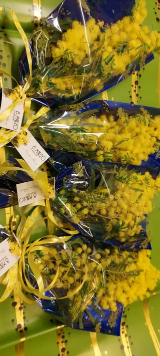 Clasica Busta di mimosa 