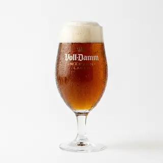 Cerveza Voll Damm