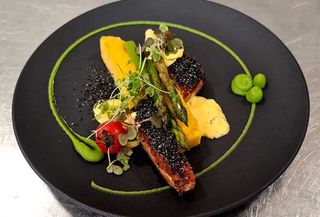  File de ton rosu in crusta de susan 