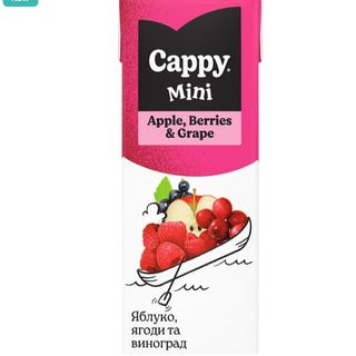 Нектар Cappy Mini  200 мл